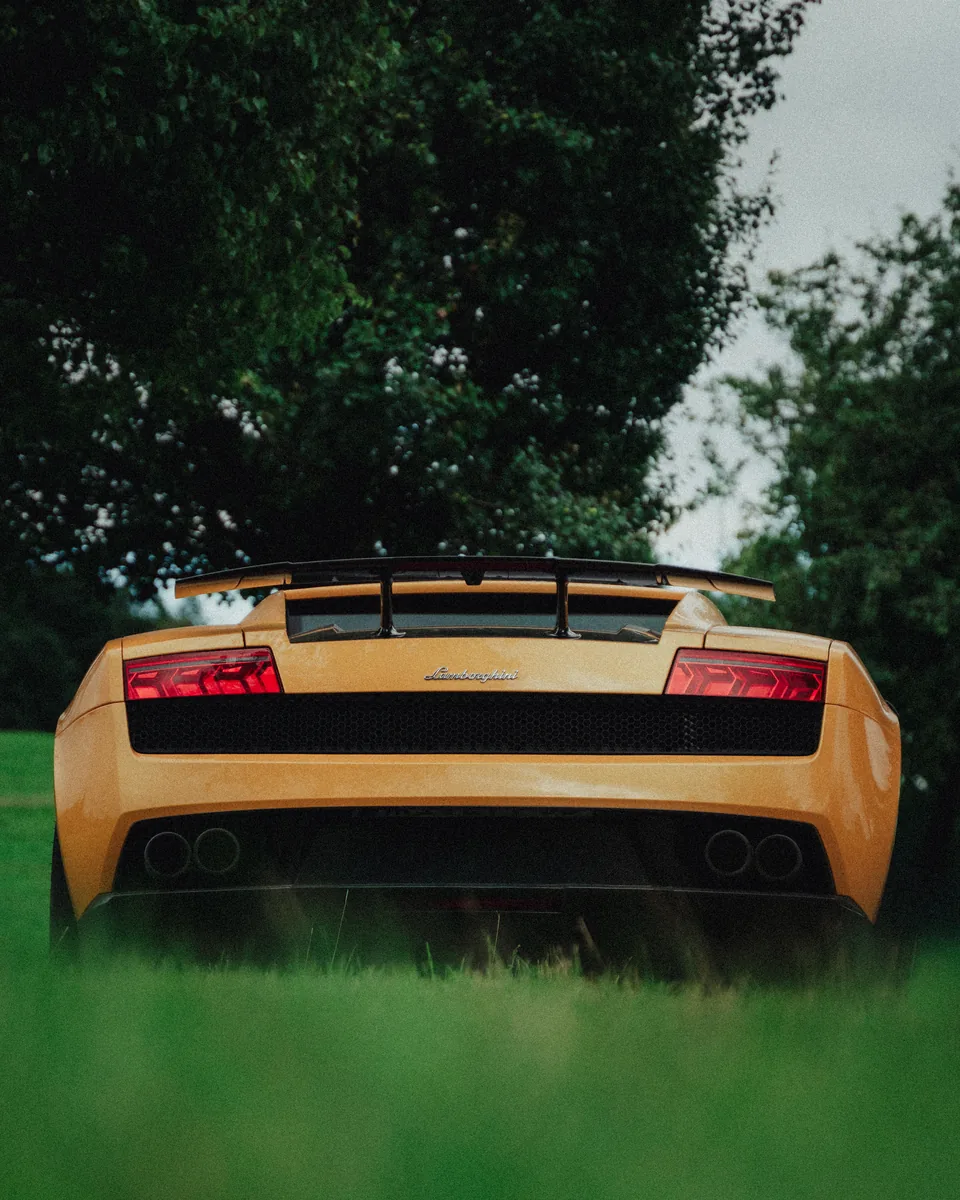 Lamborghini-Heck im hohen Gras